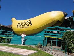 The big banana fun park is the biggest and. The Big Banana Amusement Park Picture Of Coffs Harbour New South Wales Tripadvisor