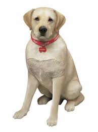 Explore a wide range of the best puppy collar size on aliexpress to find one that suits you! Life Size Labrador Retriever Dog Statue Yellow Sandicast Labrador Retriever Dog Statues Ls903 In 2021 Labrador Retriever Labrador Retriever Funny Labrador Retriever Puppies