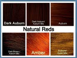 28 albums of red auburn hair color chart explore