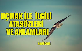 Ucmak Ile Ilgili Atasozleri Ve Anlamlari Aciklamalari Ucmak Ile Atasozu Nkfu