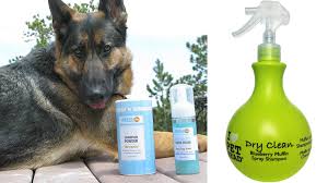 The short answer is yes. 7 Ways To Keep Your Dog Clean Without Having To Give Them A Bath Barkpost