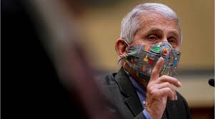 Le pr�sident du s�nat est �lu par des �lus , qui sont �lus par des �lus d�sign�s par des �lus ; L Inde S Est Ouverte Prematurement A Declare Le Dr Fauci Aux Senateurs Americains Sur La Crise De Covid 19 Allinfo