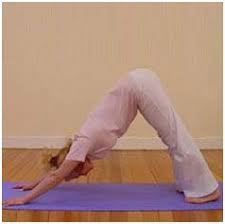 How To Do Surya Namaskar Sun Salutation Sequence The Perfect Yoga Workout Surya Namaskar Yoga Living Yoga Steps