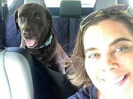 Our hearts are broken. On August 17th, our amazing, best friend, River,  left us to meet his best friend Morgan. It's so hard to believe he is gone.  We miss his beautiful