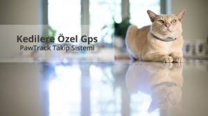 Kedilere Ozel Gps Benden Notlar