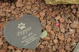 The most common cat memorial stones material is stone. The Dos And Don Ts Of Creating A Pet Memorial That Makes You Proud