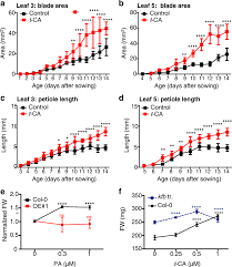 Check spelling or type a new query. Modulation Of Auxin And Cytokinin Responses By Early Steps Of The Phenylpropanoid Pathway Bmc Plant Biology Full Text