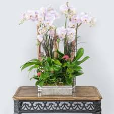 Check spelling or type a new query. Flowers And Designs By Gina Tarzana Ca Florist