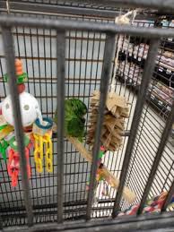 Book with our pet friendly guarantee and get help from our canine concierge! Pet World Warehouse Outlet 5415 S 27th St Milwaukee Wi Pet Services Mapquest