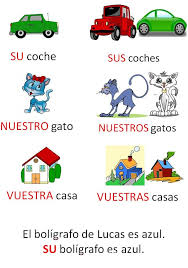 possessive adjectives | Posesivo, Pronombre posesivo, Adjetivo ...