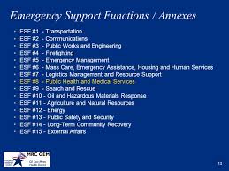 Esf Function 8 Term Paper Example December 2019 2847 Words