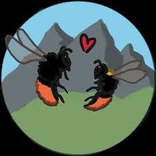 Image result for Bombus alpinus