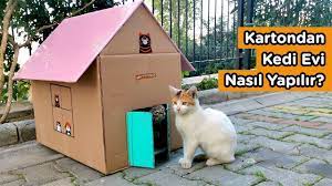 kartondan kedi evi nasil yapilir youtube 2021 kedi evi kedi evler