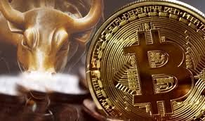 We'd look back 20 years from now and go, 'that was an. Crypto News 13 08 Bitcoin Back On Growth Course With News From Ethereum Bitpay Dogecoin Arbitrum Ftx Alipay Octopus Nft Cardano Binance Reddit Coincu News