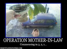 The path to becoming a lawyer isn't easy, but marshall eriksen from how i met your mother sure makes it look like fun. Mother In Law Quotes Funny Quotesgram