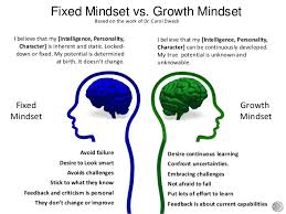 fixed vs growth mindset the collegiate call