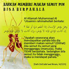 Bahkan Memberi Makan Semut Pun Bisa Berpahala Kutipan Pelajaran Hidup Kekuatan Doa Kutipan Bijak
