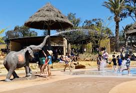 An australian made website for dubbo that benefits locals, tourism and business. Top Tips For Visiting Taronga Western Plains Dubbo Zoo With Kids Mouths Of Mums