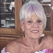 What type of fence can be used around a caravan for dogs?