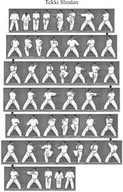 Henrik oesten sensei 5th dan from denmark, performing heian nidan (slow) in the style of funakoshi sensei. Tekki Shodan