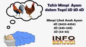 Check spelling or type a new query. 35 Mimpi Menjual Ayam 2d Background Sipeti