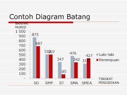 Diagram batang contoh soal jumlah lulusan sma x di suatu daerah dari tahun 2001 sampai tahun 2004 adalah sebagai berikut. Statistik Bisnis 2 Penyajian Data Ppt Download