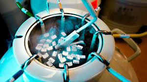 The kinky side of freezing sperm revealed today