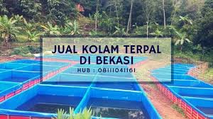 Jual Kolam Terpal Di Bekasi Hub 08111041161 Sangkutifarm Com