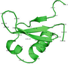 Image result for Pentadiplandra brazzeana