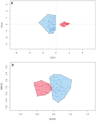 Image result for Tessmannia anomala