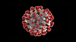 Virus ini menular dengan sangat cepat dan telah. 8 Questions Employers Should Ask About Coronavirus
