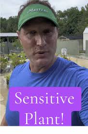 Vroom & Bloom Car Show at Dothan Nurseries