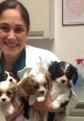 William Danowitz (VCA New Prospect Animal Hospital)