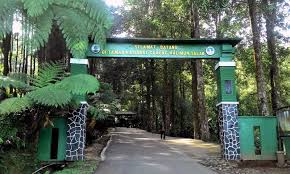 PENGUMUMAN : Taman Nasional Gunung Halimun Salak Resmi dibuka dengan Protokol Kesehatan