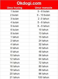 Karena dalam 12 bulan tersebut ada bulan yang jumlah harinya hanya 28 atau bahkan ada yang 31 hari. Siklus Umur Kucing Selama Hidup Mereka