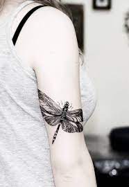 80 Dragonfly Tattoos For Women Cuded Dragonfly Tattoo Design Insect Tattoo Dragonfly Tattoo