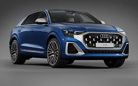 Image result for Navarra Blue 2024 Q8