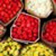 Buy you favourite products with bigger reductions: Field Of Flowers Wholesale Florist Davie Fl Alignable