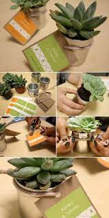 35 Cute And Easy To Make Wedding Favor Ideas Diy Wedding Favors Succulent Wedding Favors Wedding Gift Favors