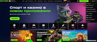 Идентификация в БК Бетера: как пройти верификацию у букмекера Betera BY