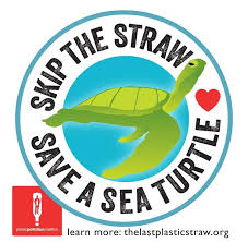 Yet they were not returned to the mainland and the. New And Old Tools To Eliminate Plastic Straws My Plastic Free Life Save Mother Earth Save Earth Save Our Oceans