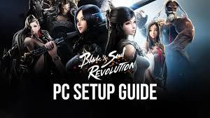 This was nice, but there seems to be some missing costumes like the untold fury. How To Play Blade Soul Revolution On Pc With Bluestacks