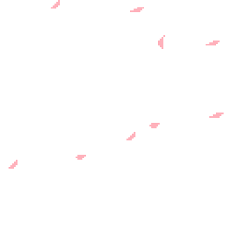 Search and download free hd sakura leaf png images with transparent background online from lovepik.com. Totally Transparent Transparent Petal Pixels Gif Edited By Totally