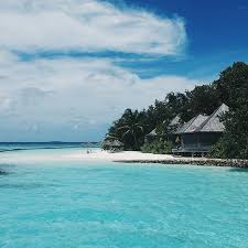 Caroline Varona and Kyle Riffey's Wedding Registry