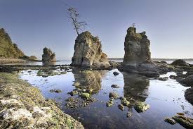 Weather Tides Arch Cape Inn A Cannon Beach Bed And Breakfast