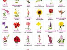 Pin On Rebecca S First Floral Arrangements