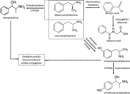 Image result for Amphetamine