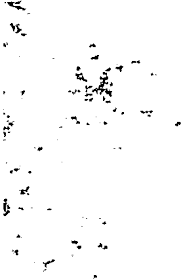 Do canal, gleba a, alto da cruz, com turmas de 1° a 3° ano do ensino médio, como uma área grande para que seja efetuada varias. Almendres Cromlech Author Jose M De Mascarenhas 2015 Download Scientific Diagram