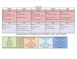 Conditioning Equipment For Gymnastics Horizon Fitness E95