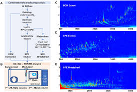 Image result for Euclasta condylotricha